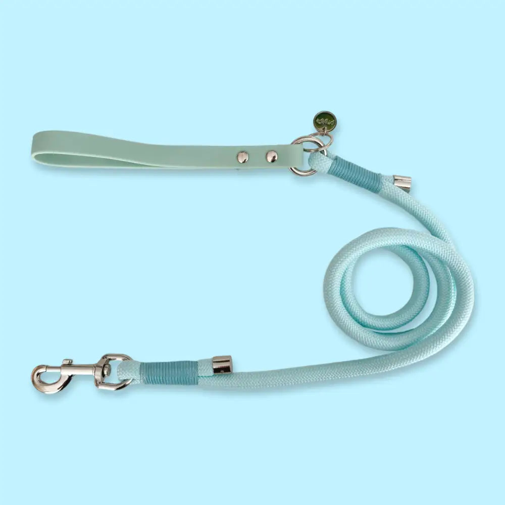 5ft Rope Dog Lead in Pastel Blue - Piggie - 1