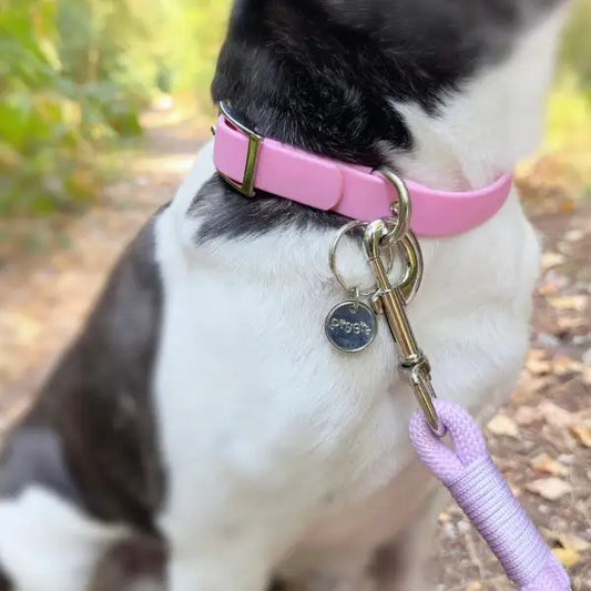 5ft Rope Dog Lead in Pastel Lilac - Piggie - 2