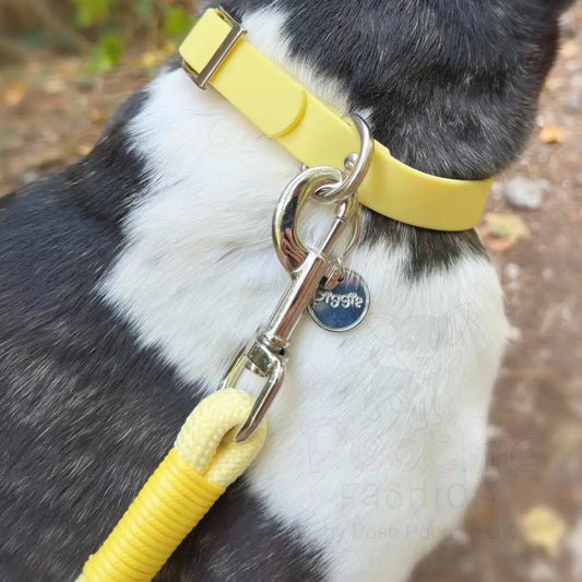 5ft Rope Dog Lead in Pastel Yellow - Piggie - 2