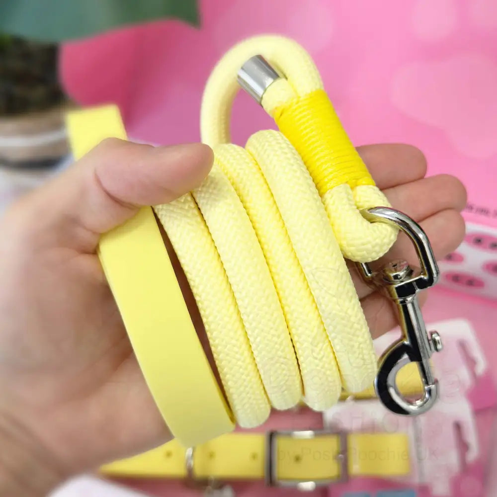 5ft Rope Dog Lead in Pastel Yellow - Piggie - 4