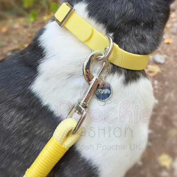 5ft Rope Dog Lead in Pastel Yellow Piggie 2