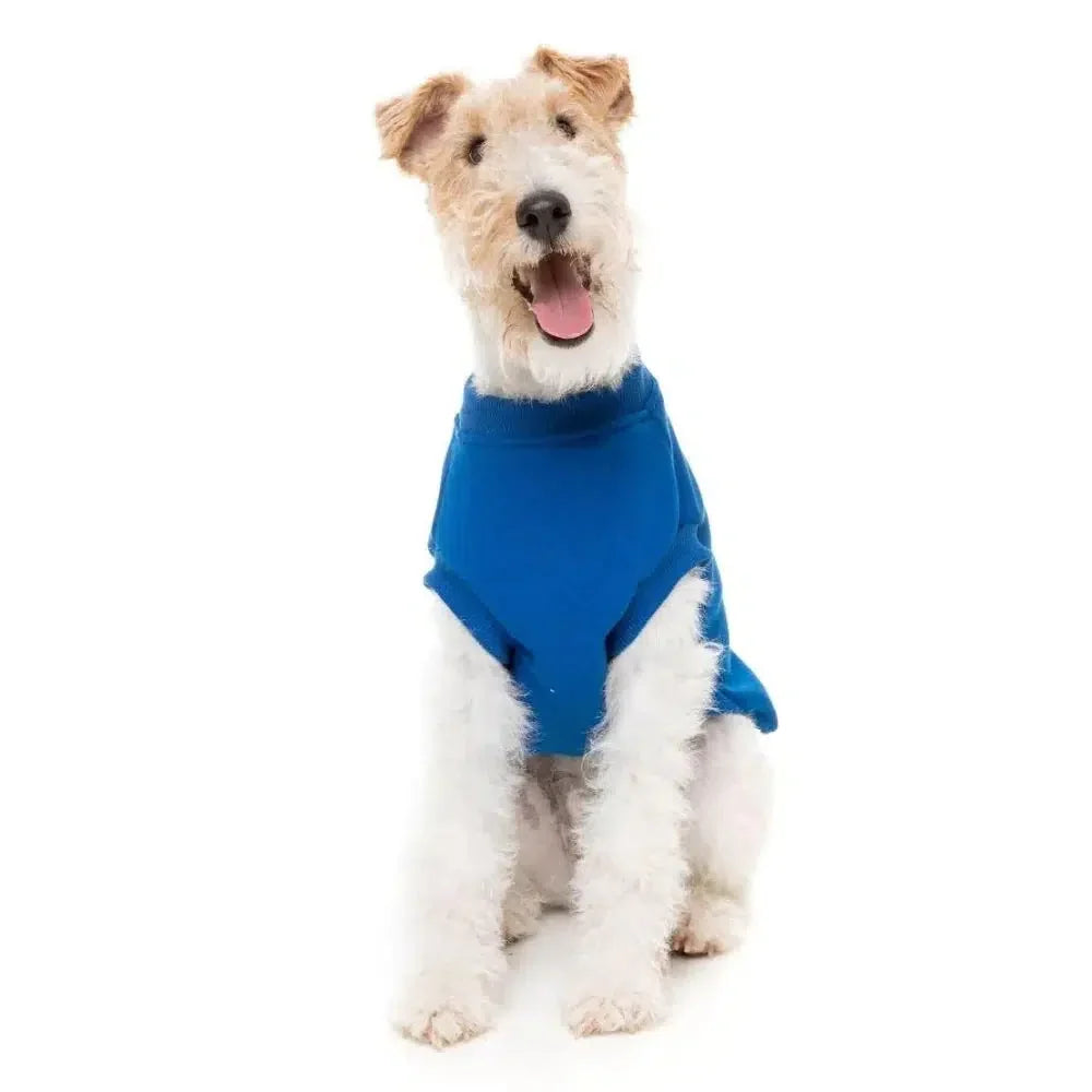 FuzzYard Allday Dog Jumper - Blue