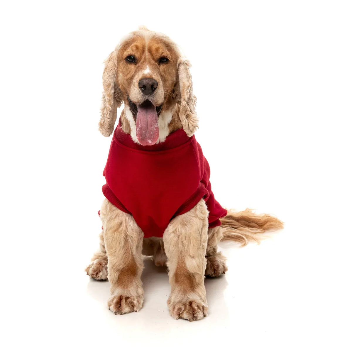 FuzzYard Allday Dog Jumper - Red