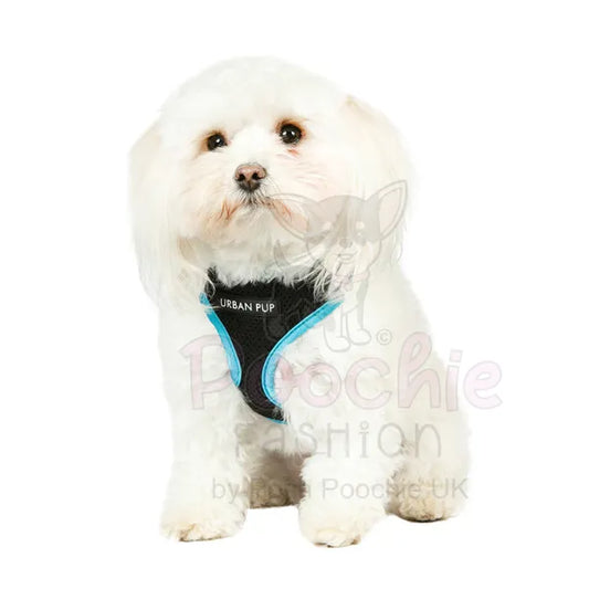 Active Mesh Neon Blue Dog Harness - Urban Pup - 2