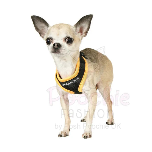 Active Mesh Neon Orange Dog Harness - Urban Pup - 2