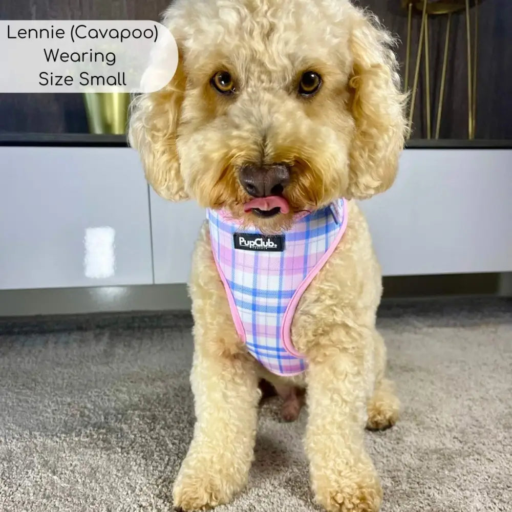 Adjustable Harness - Pink Tartan - Pupclub Couture - 4