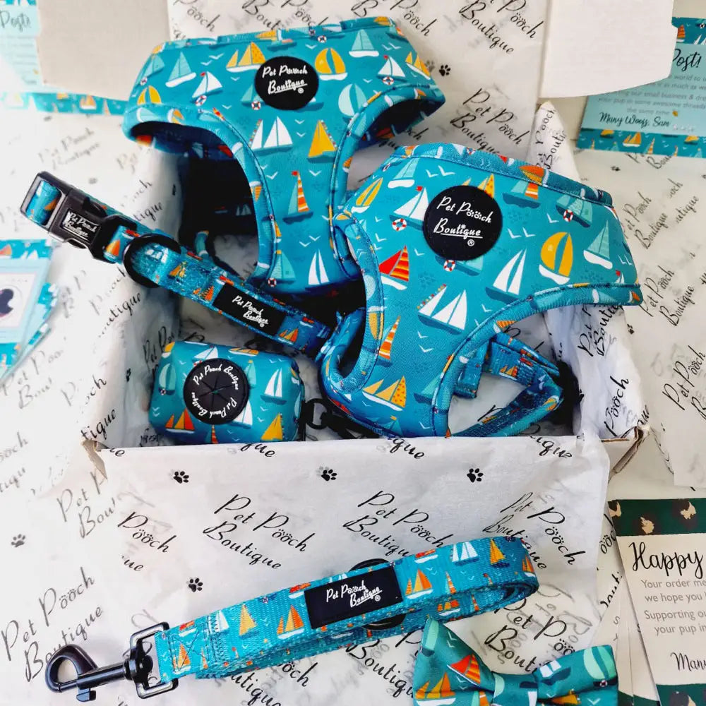 Ahoy Sea Puppy Dog Collar Small - Sale - 2
