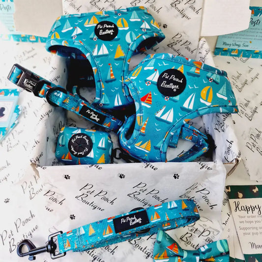Ahoy Sea Puppy Dog Collar Small - Sale - 2