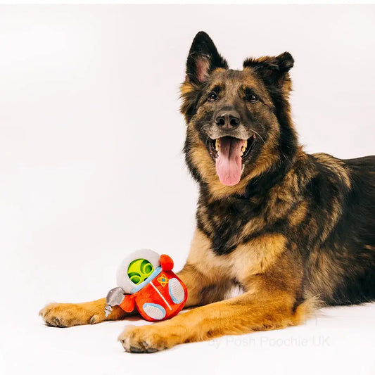 Alien Buddies Astro Explorer 2 in 1 Dog Toy by P.l.a.y - P.l.a.y - 2