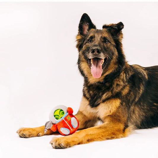 Alien Buddies Astro Explorer 2 in 1 Dog Toy by P.l.a.y - P.l.a.y - 2