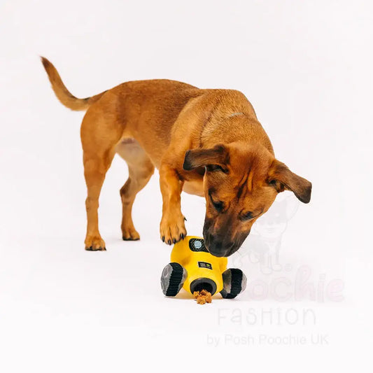 Alien Buddies Robo-rover in 1 Dog Toy by P.l.a.y - P.l.a.y - 2