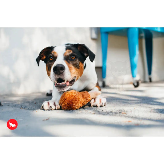 American Classic Fried Chicken Dog Toy by P.l.a.y - P.l.a.y - 2