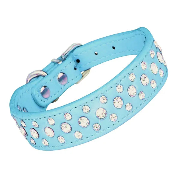 Aqua Blue Rhinestone Sprinkles Dog Collar Posh Pawz 1