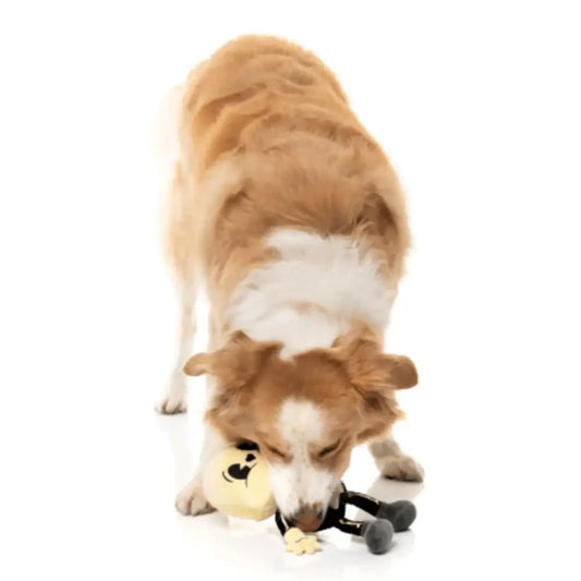 Arthur-itis Halloween Dog Toy by Fuzzyard - Fuzzyard - 2