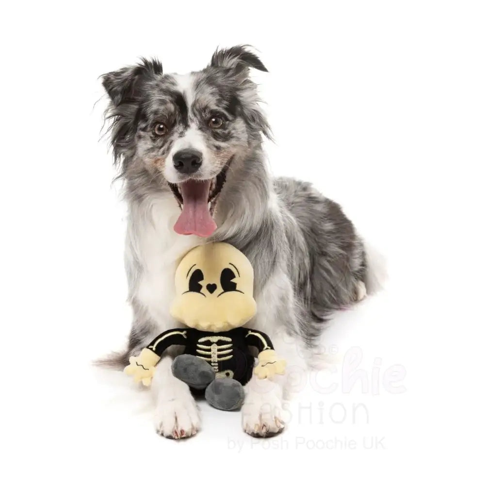 Arthur-itis Halloween Dog Toy by Fuzzyard - Fuzzyard - 5