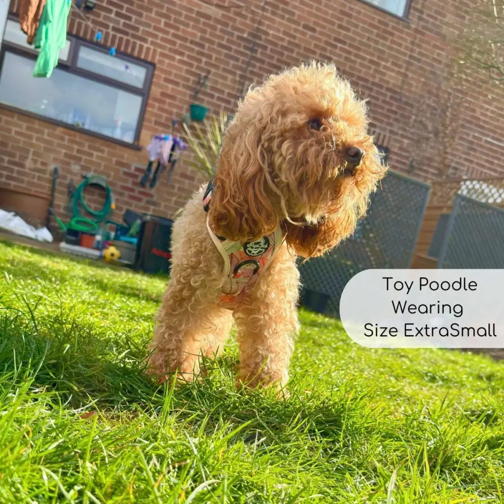 Autumn Breeze Rugged Rover™ Dog Harness - Pupclub Couture - 12
