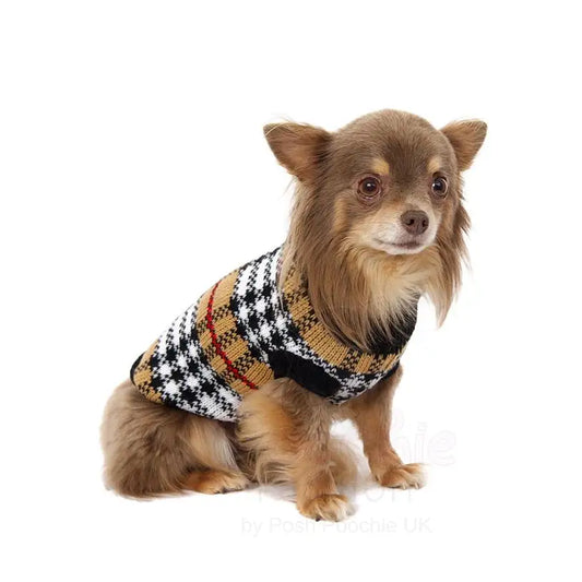 Autumn Tartan Dog Jumper - Posh Pawz - 2