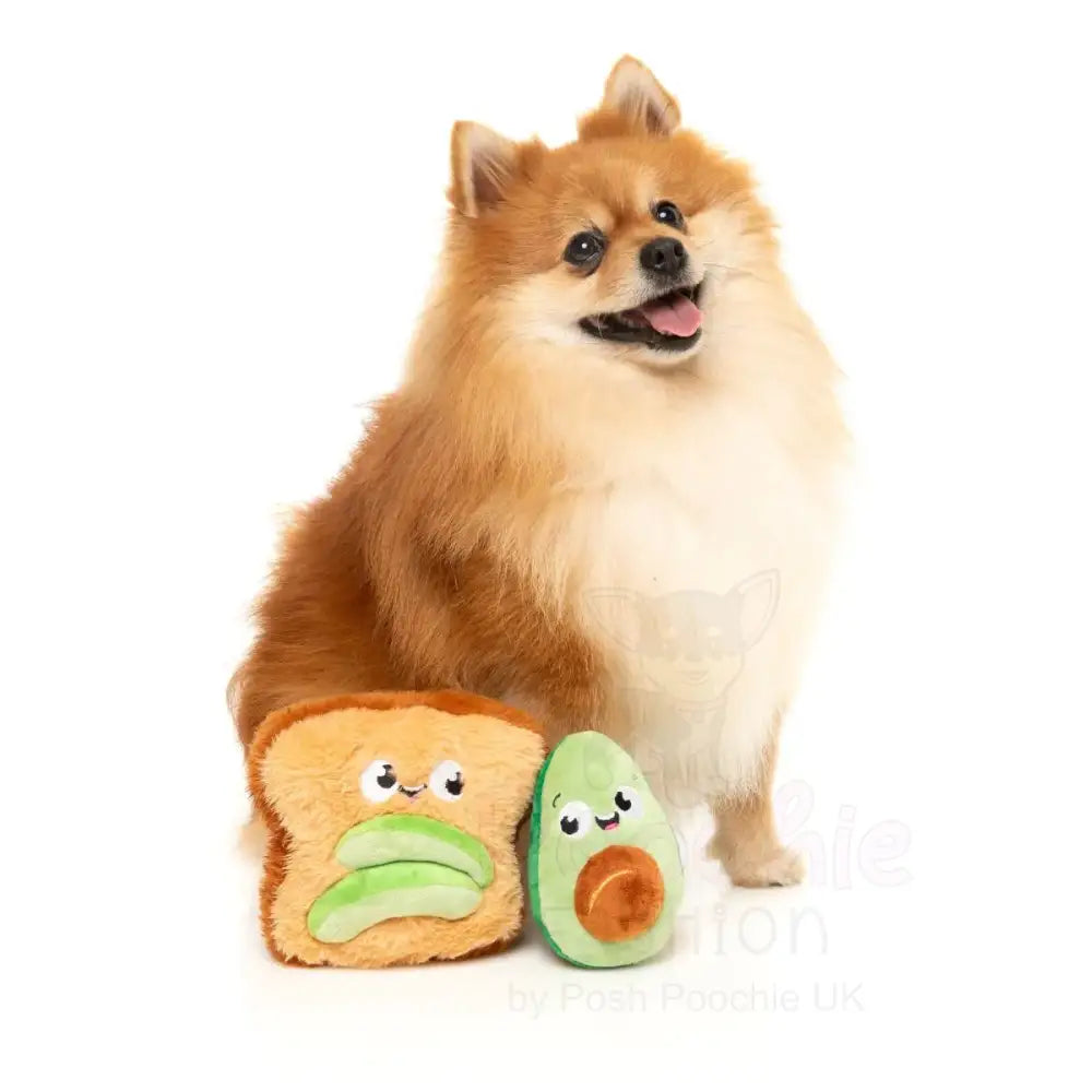 Avocado & Toast 2 Pack Dog Toys by Fuzzyard - Fuzzyard - 5