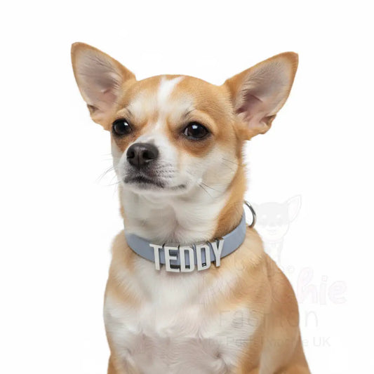 Baby Blue Waterproof Personalised Dog Collar with Large Chrome Letters - Poochie Fashion - 2