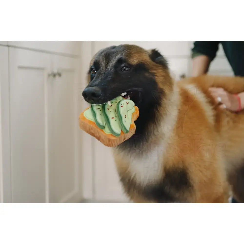 Barking Brunch Avo Doggo Toast Dog Toy by P.l.a.y P.l.a.y 4