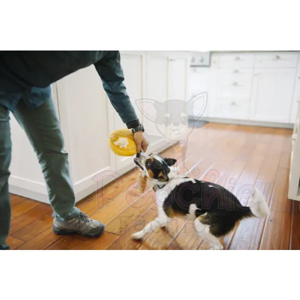 Barking Brunch Chicken and Woofles Dog Toy by P.l.a.y P.l.a.y 6