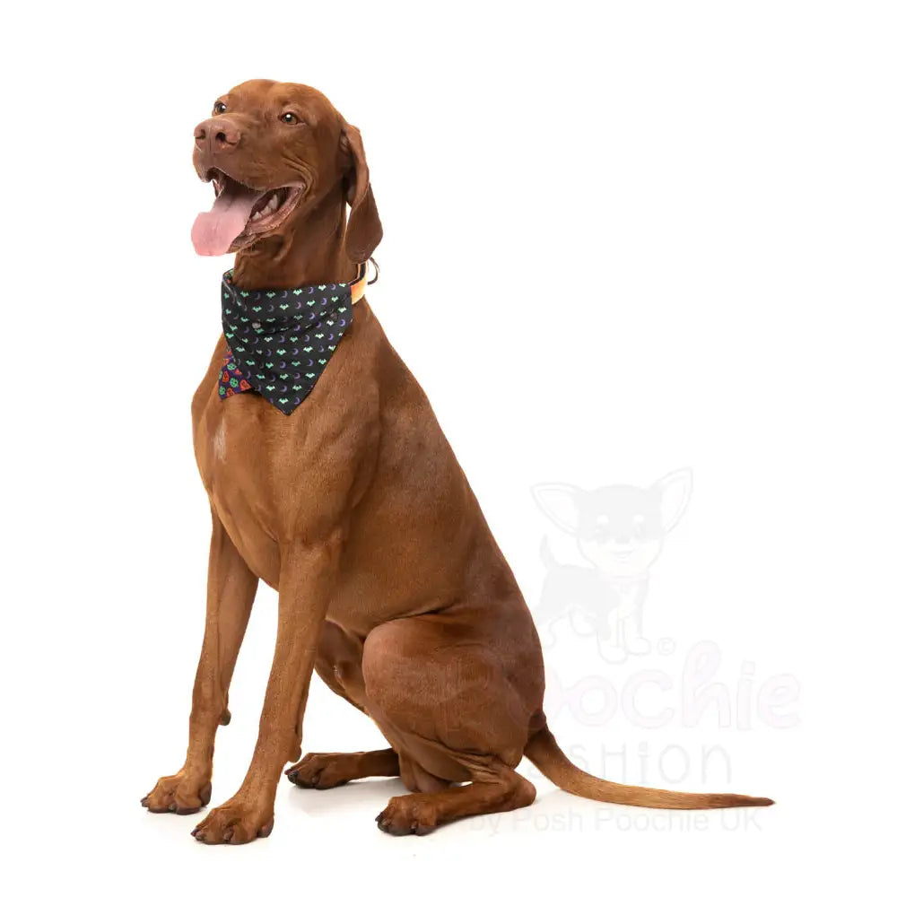 Be my Ghoul Halloween Bandana by Fuzzyard - Fuzzyard - 3