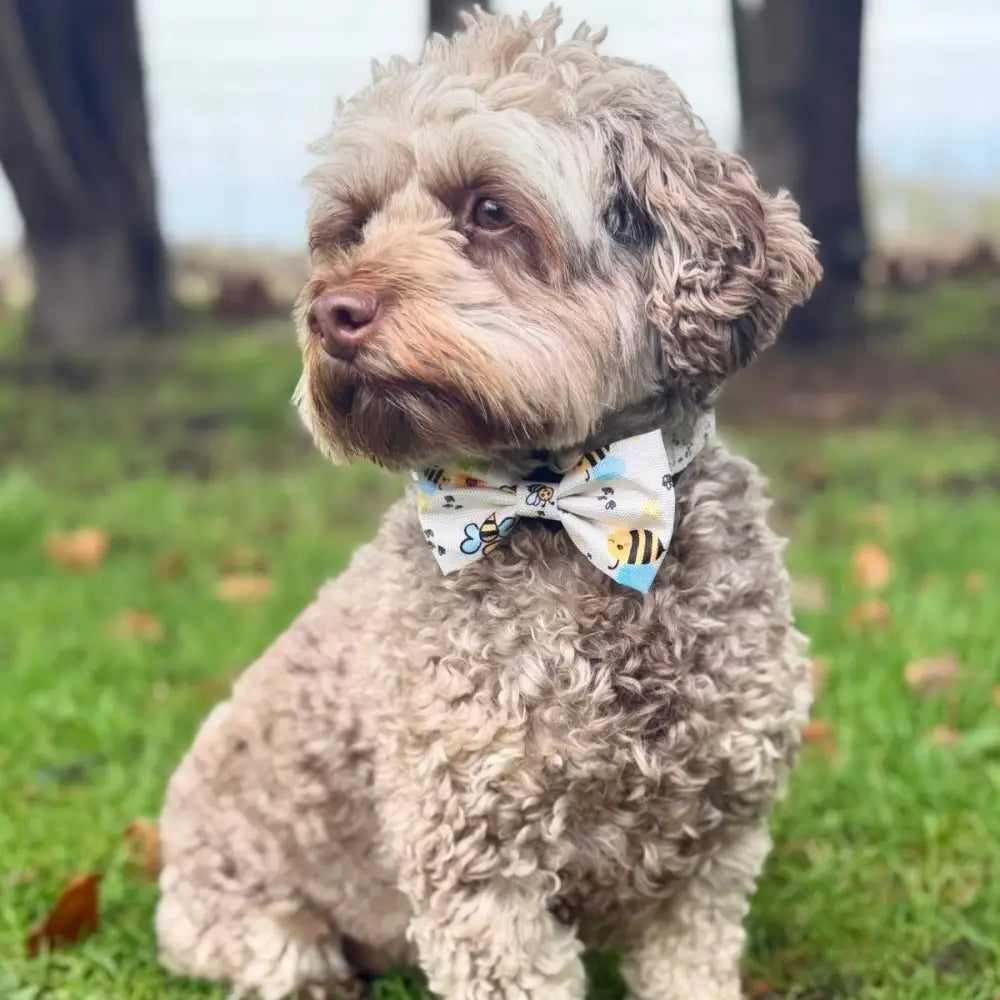 Bee-utiful Summer Dog Bow Tie - Pupclub Couture - 2