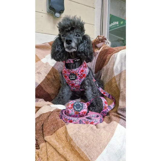 Berry Blossom Floral Dog Harness - Pet Pooch - 2