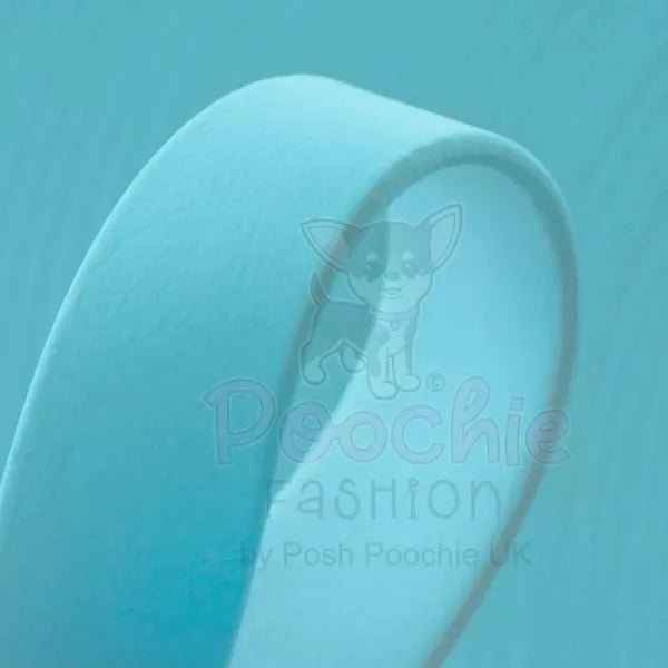 Biothane Dog Collar in Aqua - Posh Pawz - 2