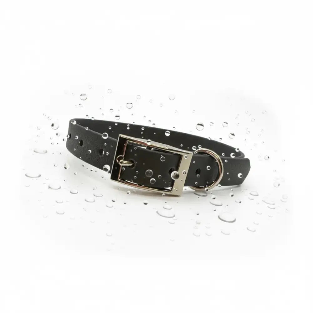Biothane Waterproof Dog Collar in Black - Poochie Fashion - 3