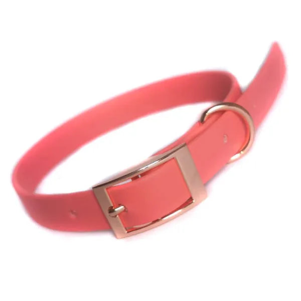 Biothane Dog Collar in Coral - Posh Pawz - 1