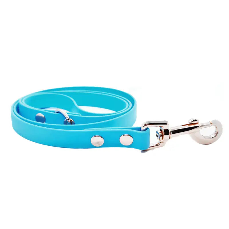 Biothane Dog Lead in Aqua - Posh Pawz - 1