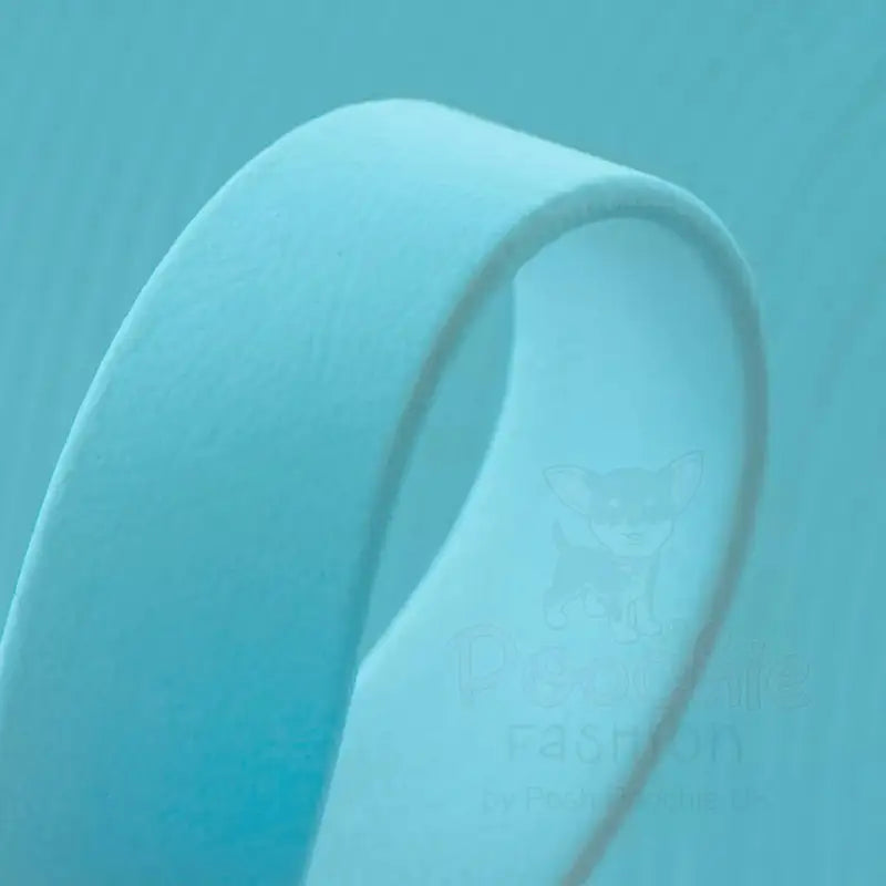 Biothane Dog Lead in Aqua - Posh Pawz - 2