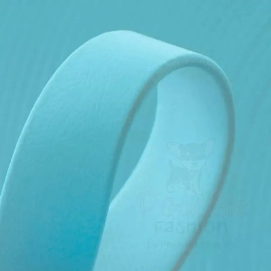 Biothane Waterproof Dog Lead in Aqua - Poochie Fashion - 2