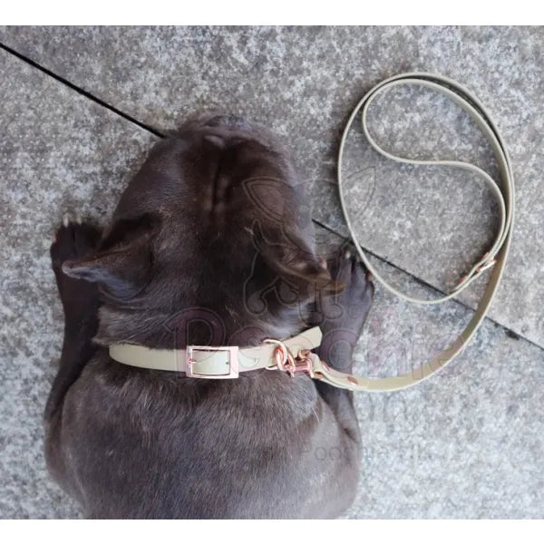 Biothane Dog Lead in Khaki - Posh Pawz - 3