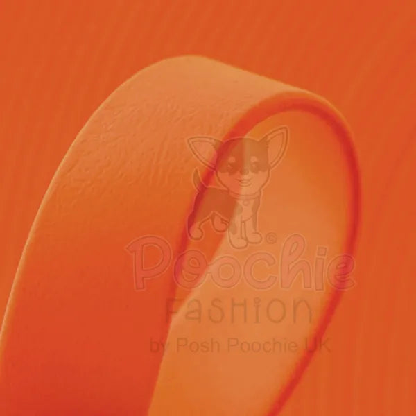 Biothane Dog Lead in Orange - Posh Pawz - 2