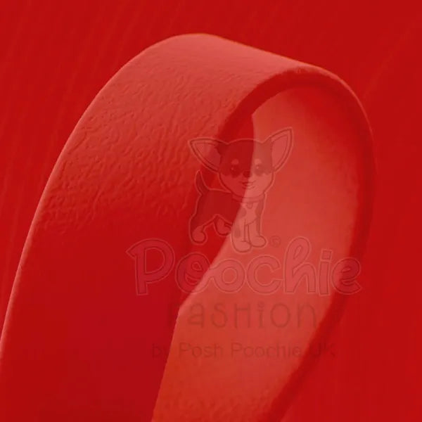 Biothane Dog Lead in Red - Posh Pawz - 2