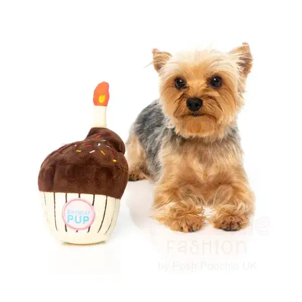 Birthday Cupcake Dog Toy by Fuzzyard - Fuzzyard - 3