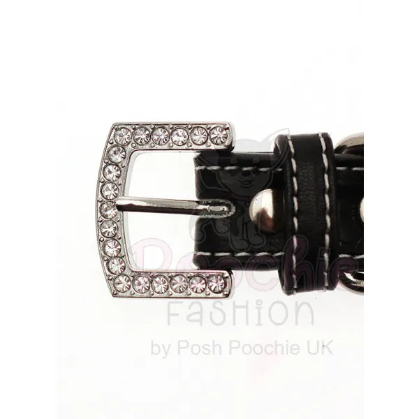 Black Leather Diamante Bones Dog Collar and Lead Set Posh Pawz 6