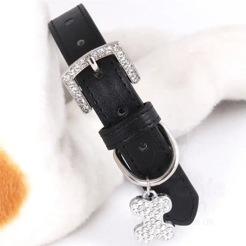 Black Leather Diamante Bones Dog Collar with Charm - Posh Pawz - 3