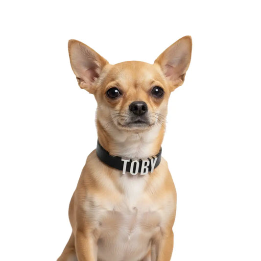 Black Waterproof Personalised Dog Collar with Large Chrome Letters - Poochie Fashion - 2