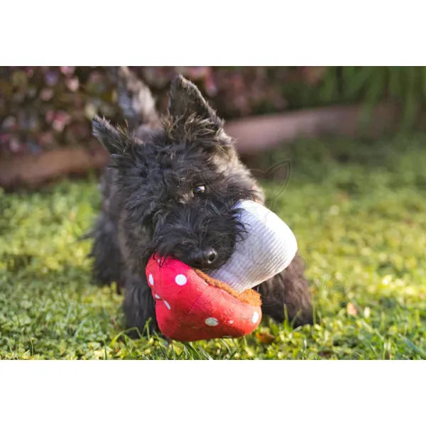 Blooming Buddies Mutt’s Mushroom Dog Toy by P.l.a.y - P.l.a.y - 3