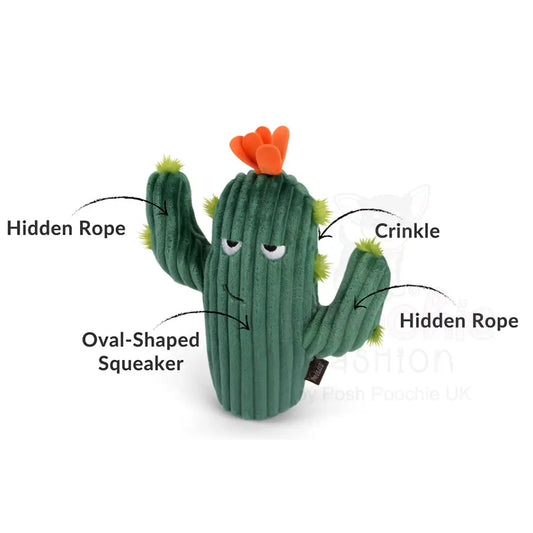 Blooming Buddies Prickly Pup Cactus Dog Toy by P.l.a.y - P.l.a.y - 2