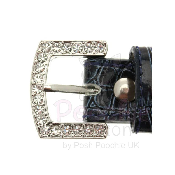 Blue Leather Diamante Bones Dog Collar and Charm Posh Pawz 4