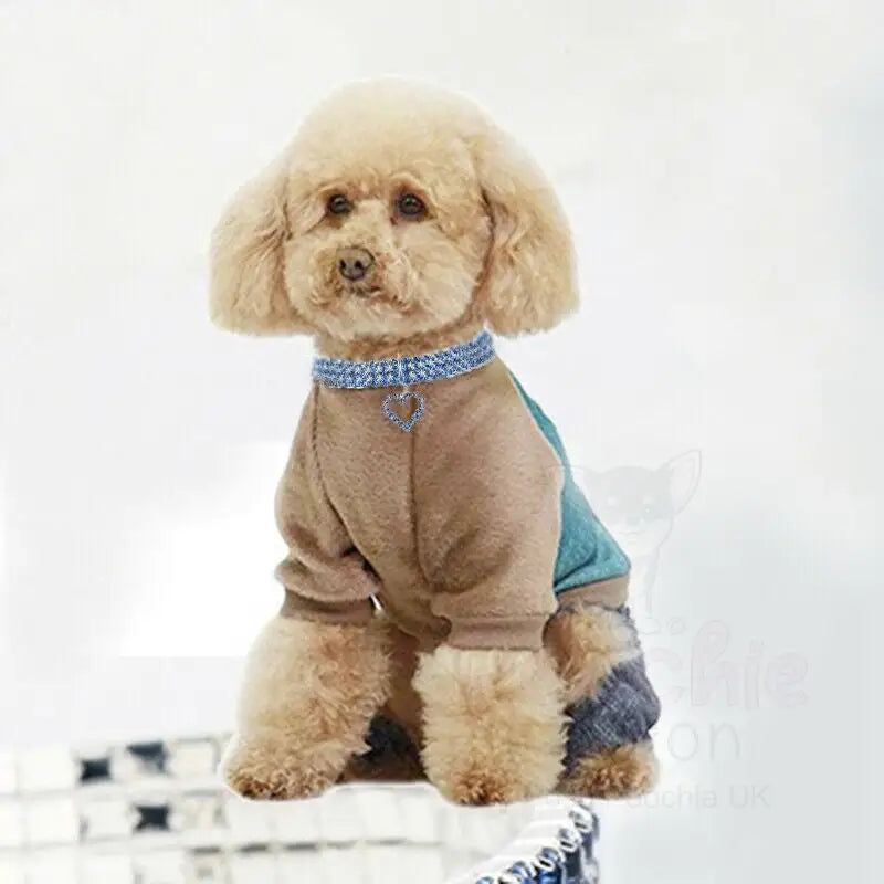 Blue Rhinestone Crystal Pet Necklace with Heart Pendant - Posh Pawz - 3