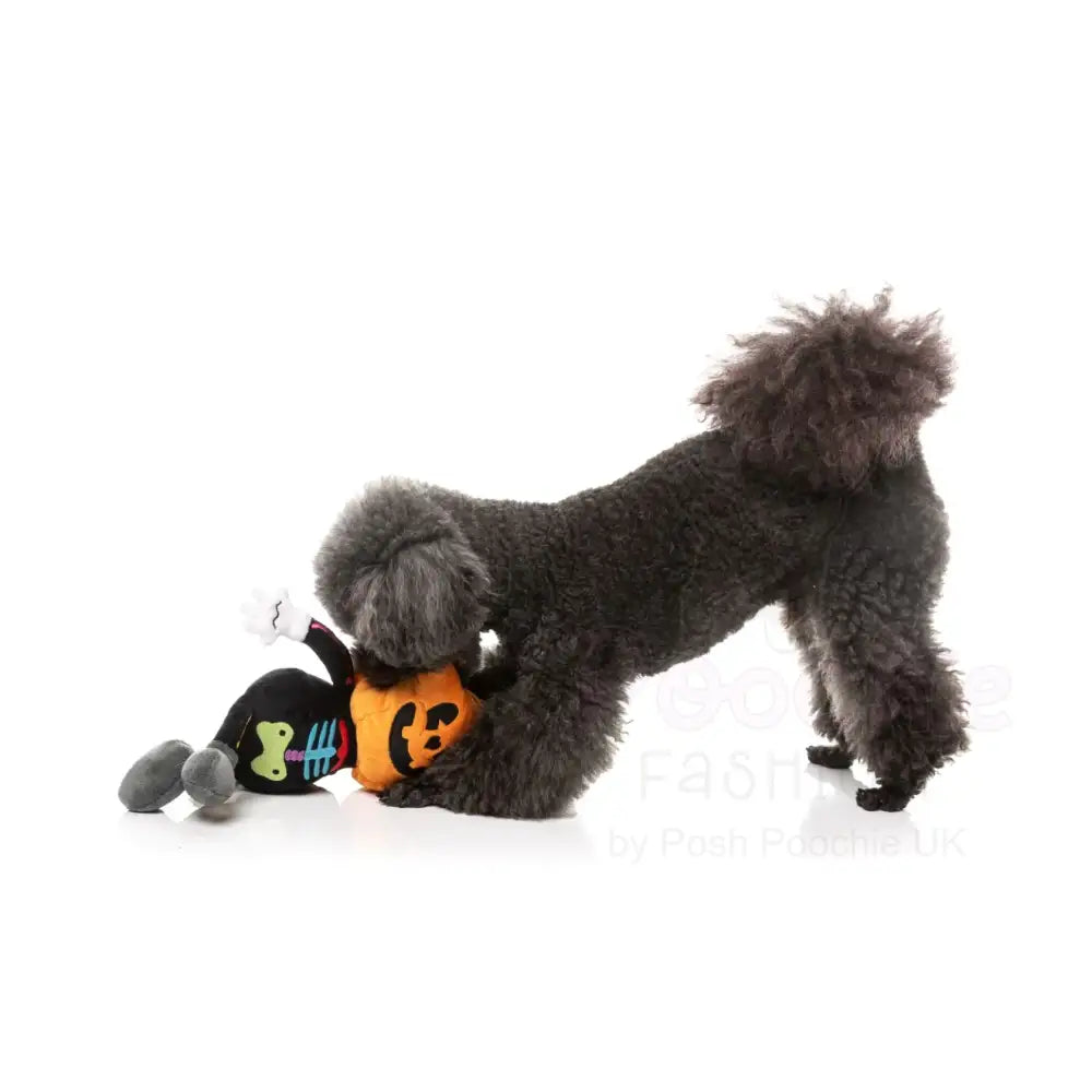 Boo-ternut Halloween Dog Toy by Fuzzyard - Fuzzyard - 6