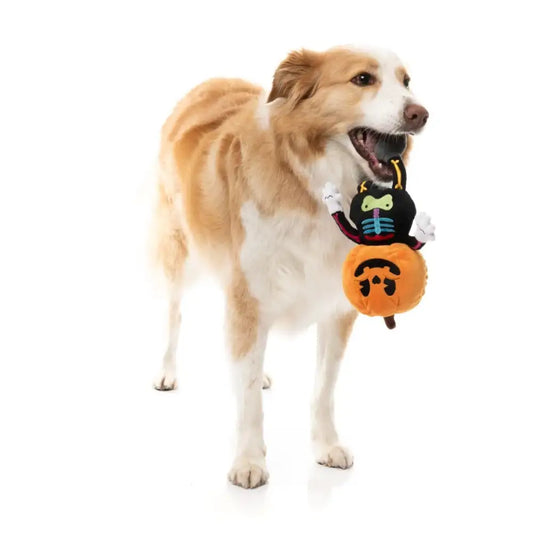 Boo-ternut Halloween Dog Toy by Fuzzyard - Fuzzyard - 2