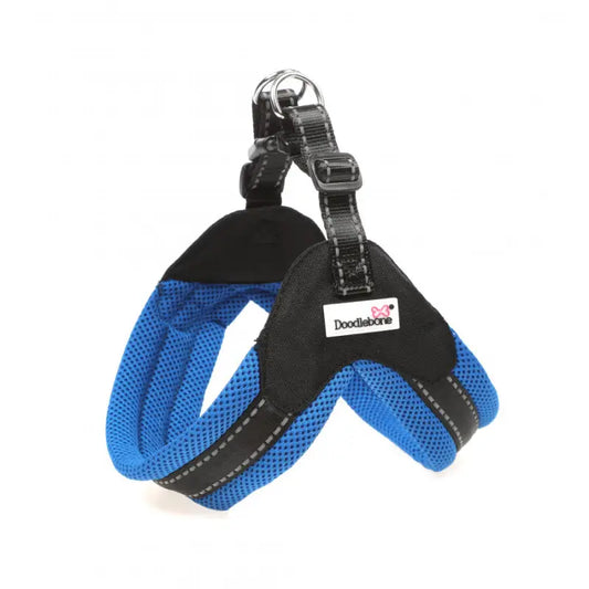 Boomerang Padded Dog Harness Sapphire Blue - Doodle 1