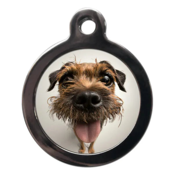 Border Terrier Fish Eye Dog Id Tag Ps Pet Tags 1