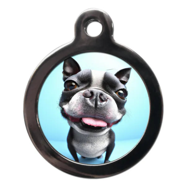 Boston Terrier Fish Eye Dog Id Tag Ps Pet Tags 1
